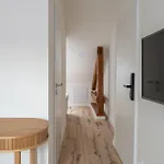 Apartman Stud Mb Ostrava