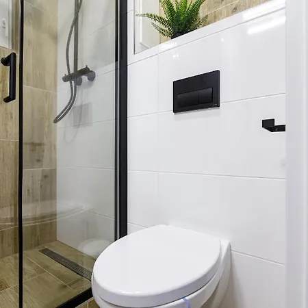 Stud Mb * 俄斯特拉发