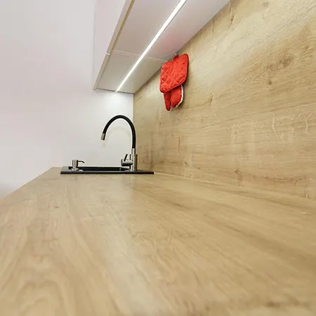 公寓 Stud Mb 俄斯特拉发