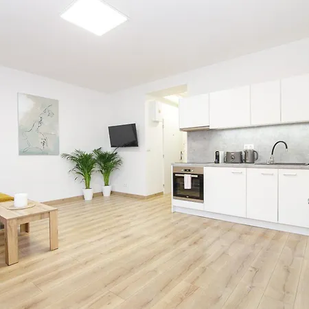 公寓 Stud Mb 俄斯特拉发